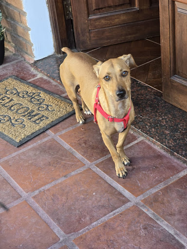 Photo from customer review