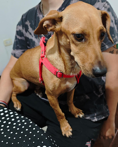 Photo from customer review