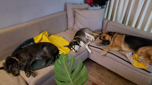 Photo from customer review